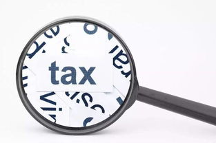 技術(shù)轉(zhuǎn)讓所得減免稅引發(fā)的稅企爭(zhēng)議分析——以某工業(yè)企業(yè)為例