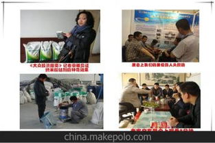 環(huán)保技術(shù)轉(zhuǎn)讓供應(yīng)商與批發(fā)市場(chǎng) 綠色技術(shù)商業(yè)化的新機(jī)遇